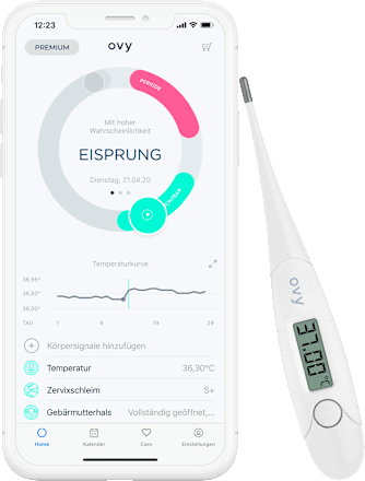 Basalthermometer, 1 St