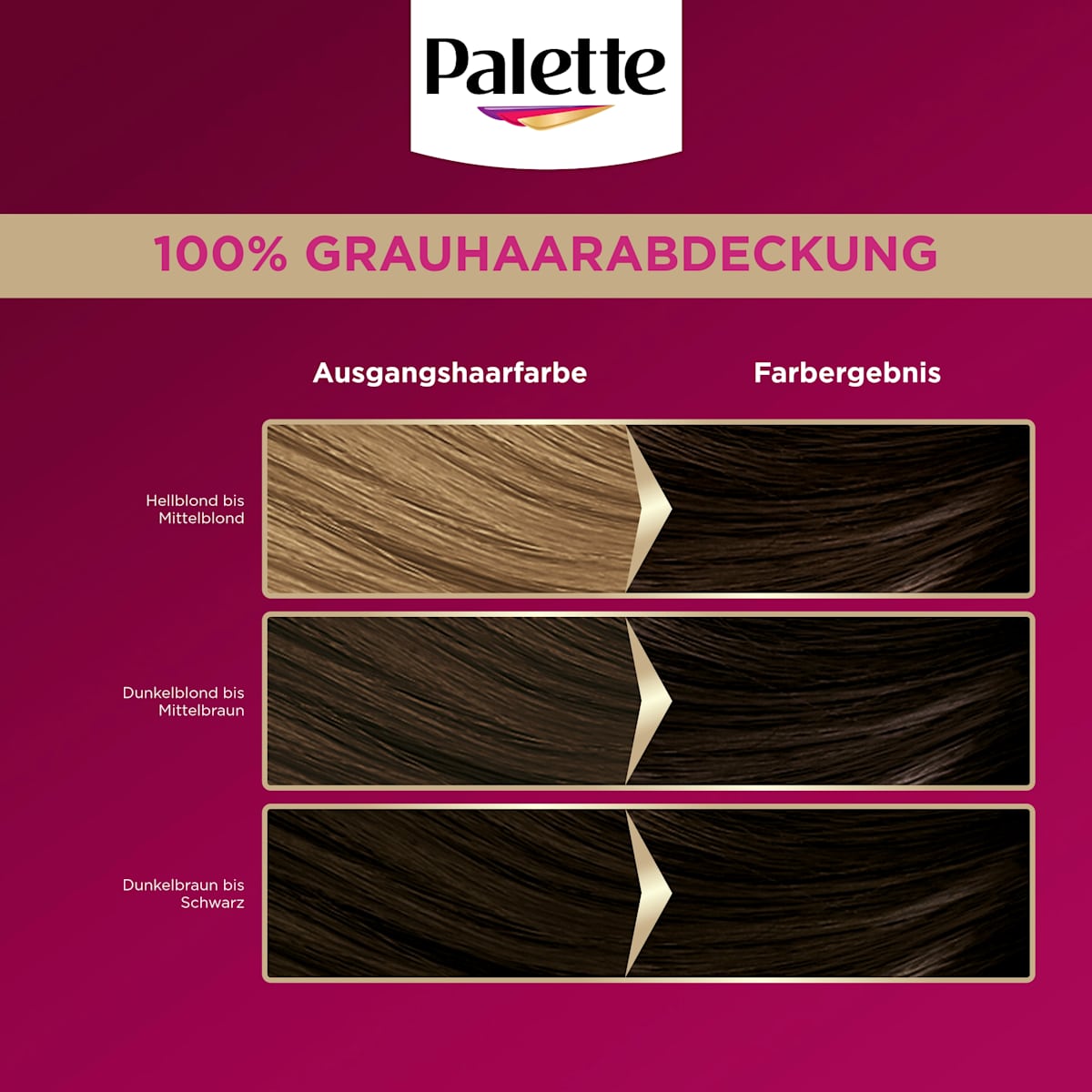 Palette Haarfarbe 3-0/890 Espressobraun, 1 St