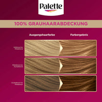 Palette Haarfarbe  8-5 Honigblond, 1 St