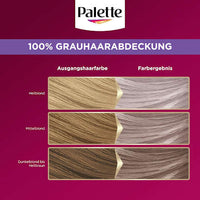 Haarkleur 10-91/240 Poederachtig Zilverblond, 1 st