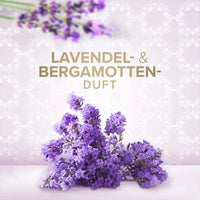 Flüssigseife Lavendel & Bergamotte Nachfüllpack (2x250 ml), 500 ml