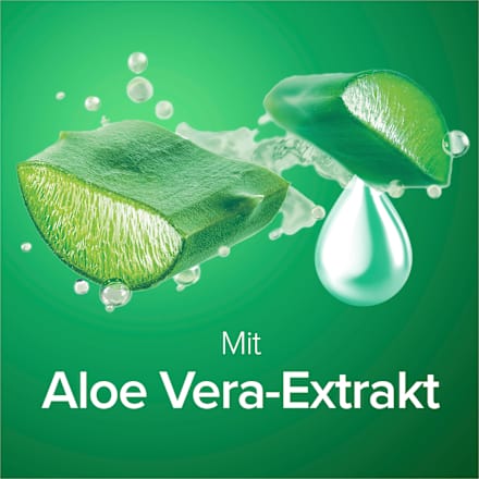Flüssigseife sensitive Hygiene-Plus mit Aloe Vera-Extrakt, 300 ml