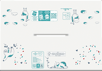 Babybroekje Harmonie maat 4 Maxi (9-15 kg), maandbox, 168 stuks