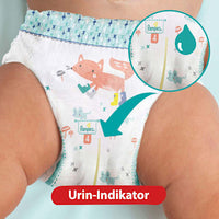 Baby Pants Gr. 7 Extra Large (15+ kg) Monatsbox, 123 St