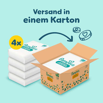 Windeln Premium Protection New Baby Gr. 2 Mini (4-8 kg) Monatsbox, 240 St