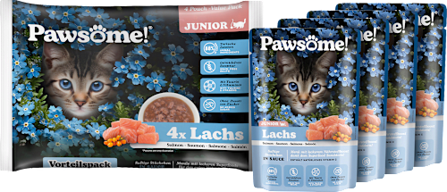 Nat kattenvoer Kitten, Zalm in saus, Junior Multipack (4x85 g), 340 g