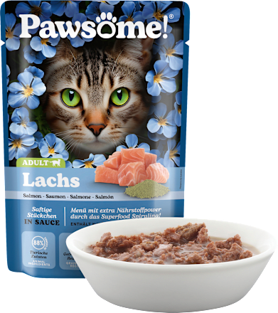 Nassfutter Katze mit Lachs, 85 g