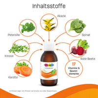 Vitaminbuddy 17 Vitamine & Spurenelemente, 125 ml