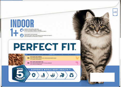 Nassfutter Katze mit Huhn & Lachs, Indoor Multipack (12x85 g), 1.020 g