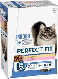 Nassfutter Katze mit Huhn & Lachs, Indoor Multipack (12x85 g), 1.020 g