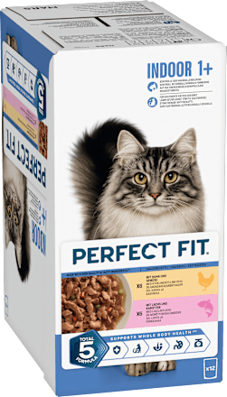Nassfutter Katze mit Huhn & Lachs, Indoor Multipack (12x85 g), 1.020 g