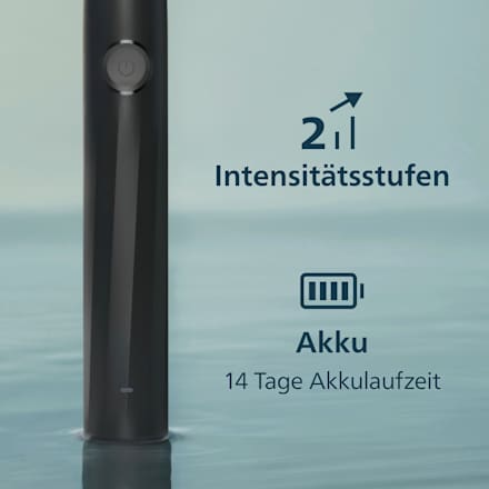 Schallzahnbürste 2100 schwarz, 1 St