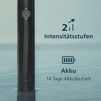 Schallzahnbürste 2100 schwarz, 1 St