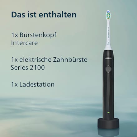 Schallzahnbürste 2100 schwarz, 1 St