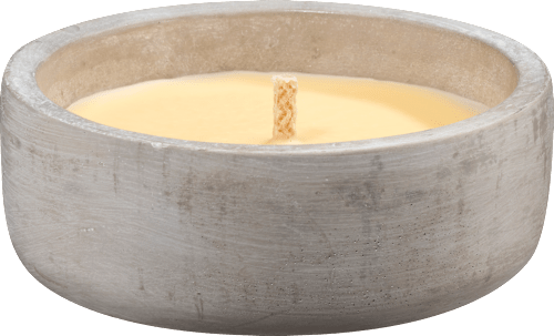 Citronella Zementschale, 1 St Profissimo