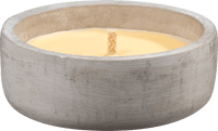 Citronella Zementschale, 1 St Profissimo