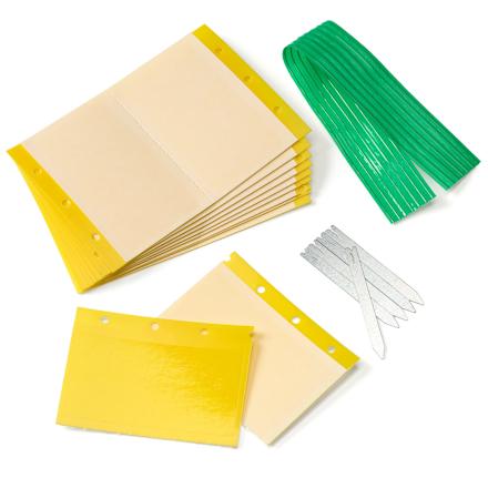 Gele vallen, 10 stuks