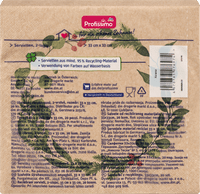 Profissimo Speiseserviette-Recycling Kranz 33x33cm, 20 St