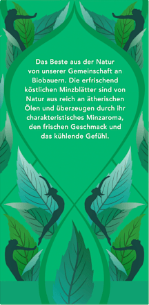 Kräutertee "Drei Minze" mit Pfefferminze, Grüner Minze & Ackerminze (20 Beutel), 32 g
