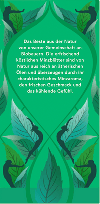 Kräutertee "Drei Minze" mit Pfefferminze, Grüner Minze & Ackerminze (20 Beutel), 32 g