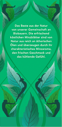 Kruidenthee "Three Mints" met pepermunt, groene munt en akkermunt (20 theezakjes), 32 g