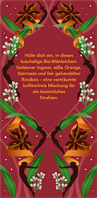 Kräutertee "Winterfreude" mit Ingwer, Rooibos, Orange & Sternanis (20 Beutel), 38 g