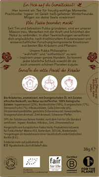 Kruidenthee "Winter Joy" met gember, rooibos, sinaasappel &amp; steranijs (20 theezakjes), 38 g