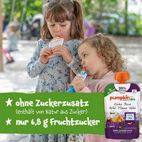 Quetschie Kürbis, Birne, Apfel, Pflaume, Hafer, ab dem 8. Monat, 100 g