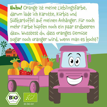 Quetschie Süßkartoffel, Kürbis, Karotte & Erdbeere ab 6 Monaten, 100 g