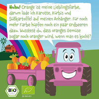 Quetschie Süßkartoffel, Kürbis, Karotte & Erdbeere ab 6 Monaten, 100 g