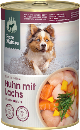 Nassfutter Hund mit Huhn, Lachs, Rind & Kürbis, 400 g