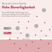 Kollagen Peptide Pulver, 300 g