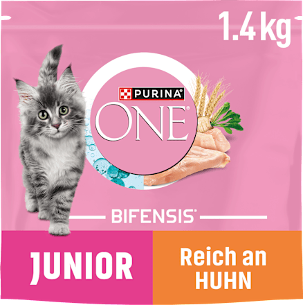 Droog kattenvoer Kitten met Kip, Junior, 1,4 kg