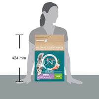 Droogvoer voor katten met kalkoen en rijst, voor volwassenen, 2,8 kg