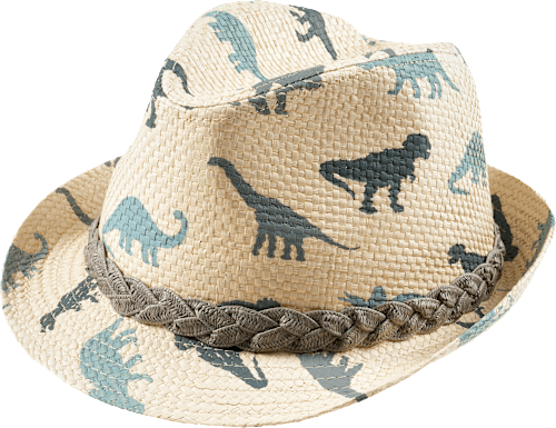 Strohhut mit Dinosaurier-Muster, beige, Gr. 52/53, 1 St