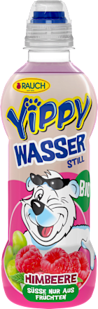 Erfrischungsgetränk, Wasser mit Himbeere, 330 ml EINWEG