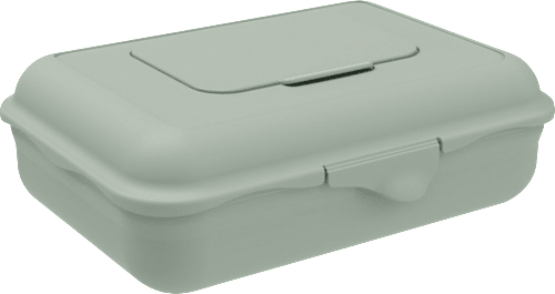 Feuchttücherbox TILO grün, 1 l