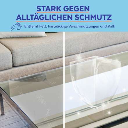 Allesreiniger met desinfectiemiddel, 1 l