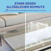 Allesreiniger met desinfectiemiddel, 1 l