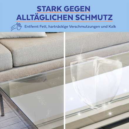 Allzweckreiniger mit Desinfektion, 1 l