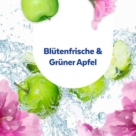 Allesreiniger met desinfectiemiddel, 1 l