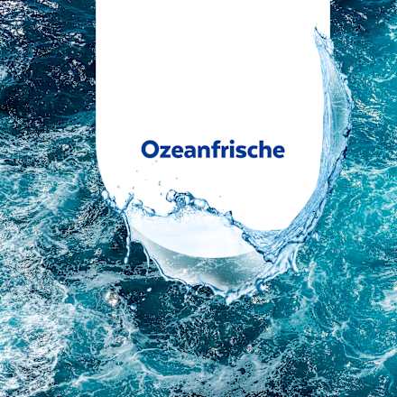 Badreiniger Ozeanfrische, 1 l