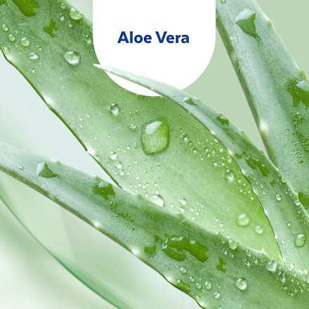 Handdesinfektionsgel Aloe Vera, Reisegröße, 50 ml