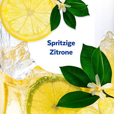 Küchenreiniger 2in1 Reinigung & Desinfektion, 1 l