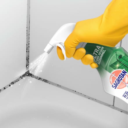 Schimmel-Entferner, 750 ml