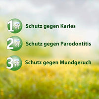 Zahnpasta F mit Fluorid, 1 Anzahl