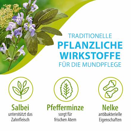Zahnpasta ohne Fluorid, 75 ml