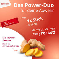 Acerola &amp; Gembersticks, 20 stuks, 39 g