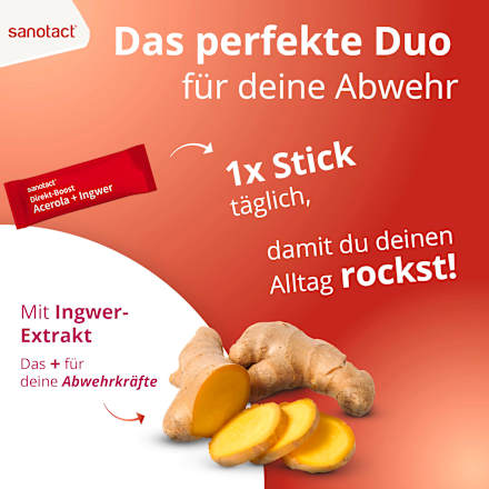 Acerola &amp; Gembersticks, 20 stuks, 39 g