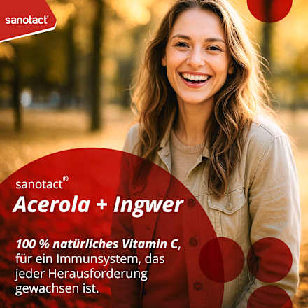 Acerola &amp; Gembersticks, 20 stuks, 39 g